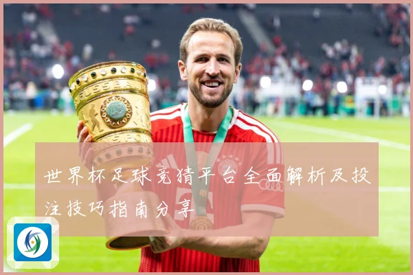 世界杯足球竞猜平台全面解析及投注技巧指南分享
