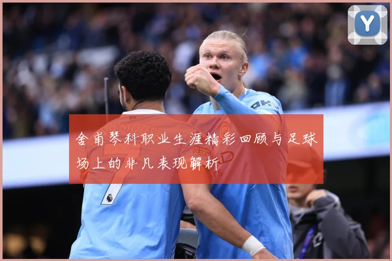 舍甫琴科职业生涯精彩回顾与足球场上的非凡表现解析