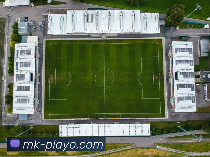 MK体育平台展示图