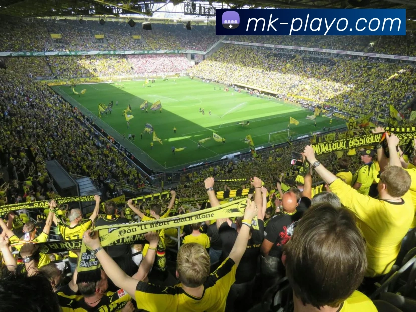 MK体育足球投注推荐平台分析 深度解析投注策略与技巧